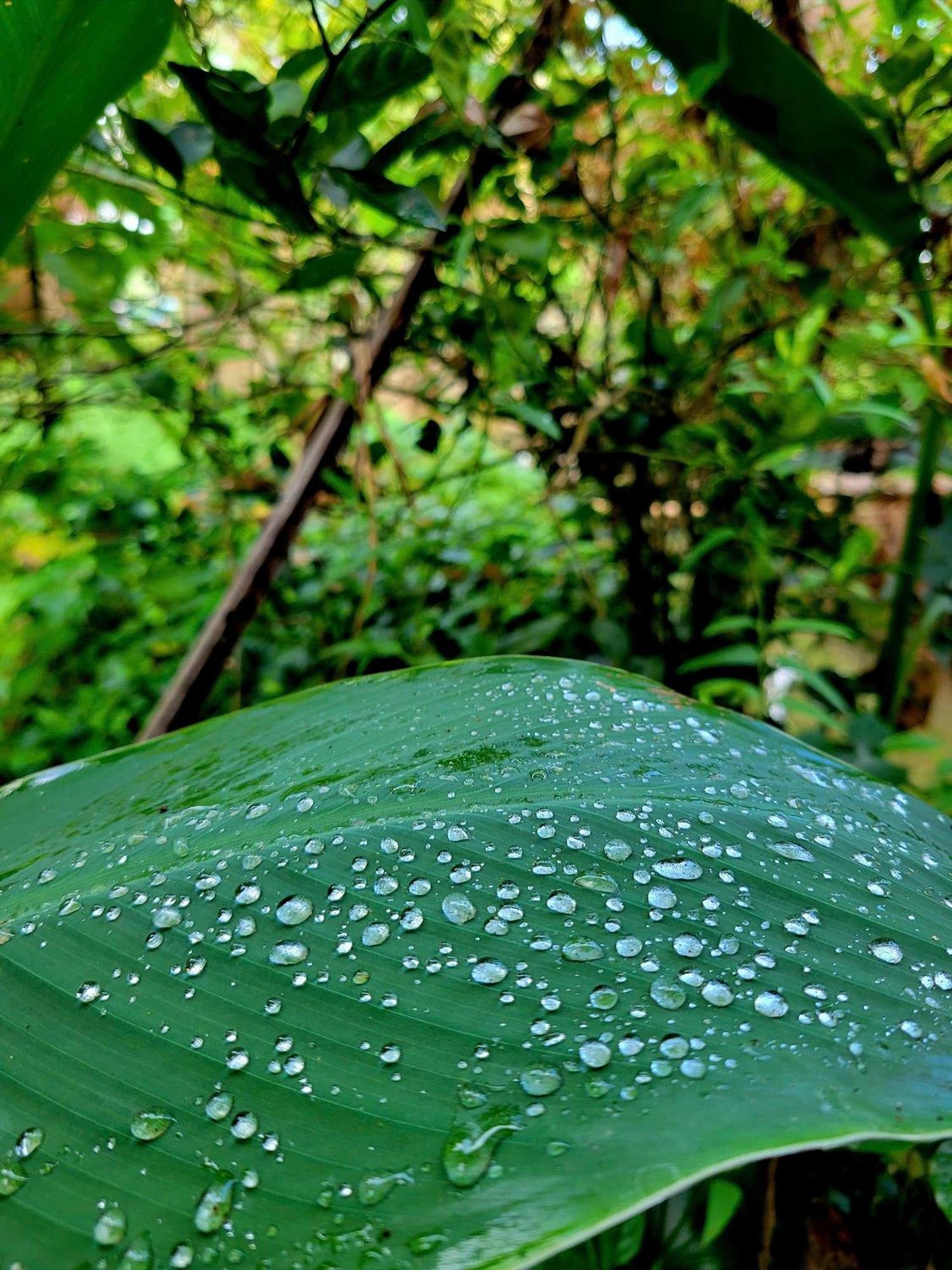 Nong Trai Thanh Thoi Ben Tre Екстер'єр фото